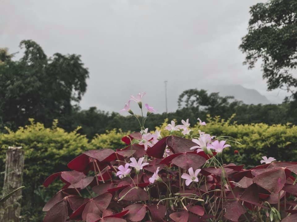 Mon Kiang-Dao Resort 치앙다오 외부 사진